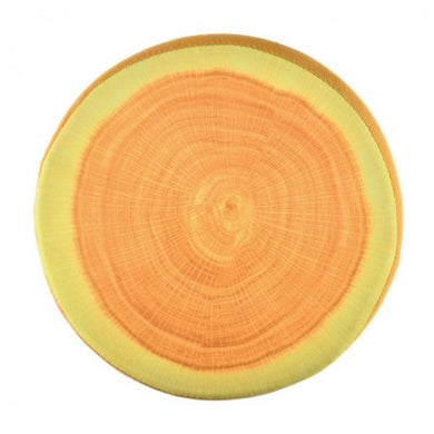 Fruit Cushion-  Throw Pillow- Oranges